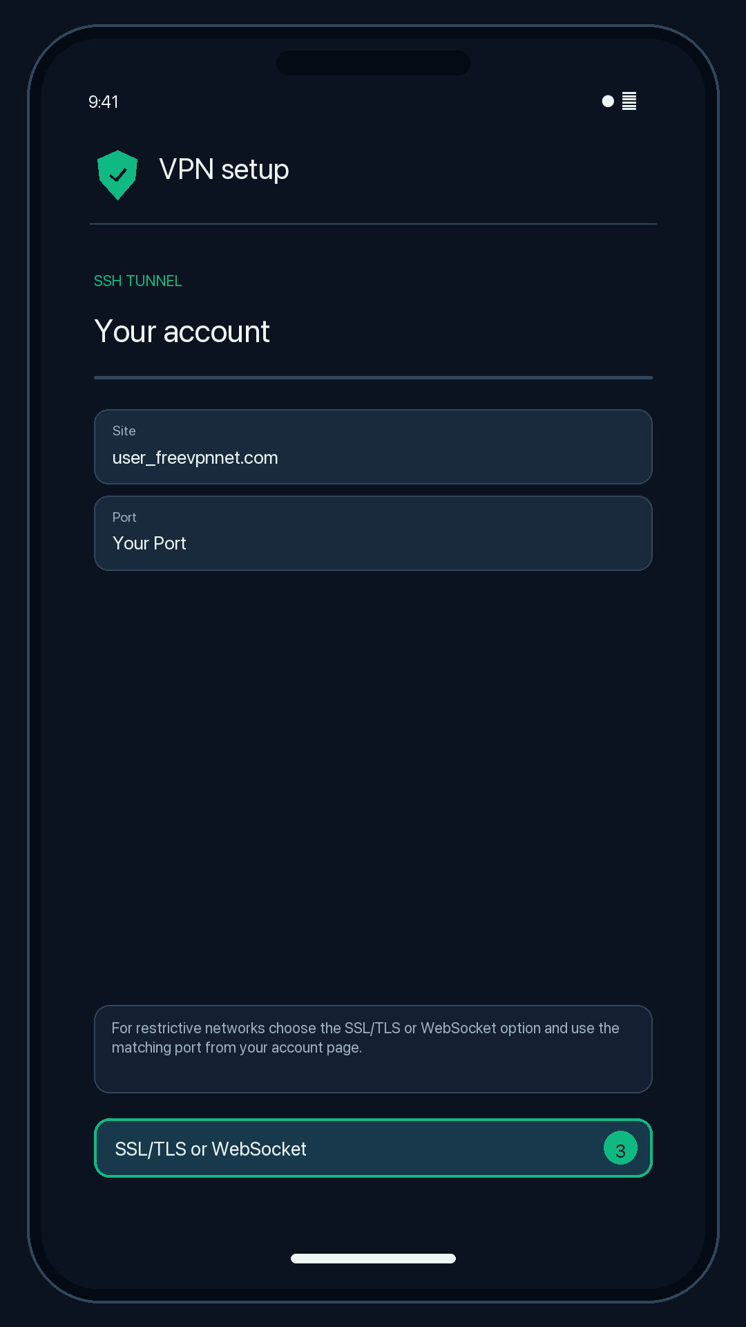 Illustration of step 3: For restrictive networks choose the SSL/TLS or WebSocket option and use the matching port from your configuration page.