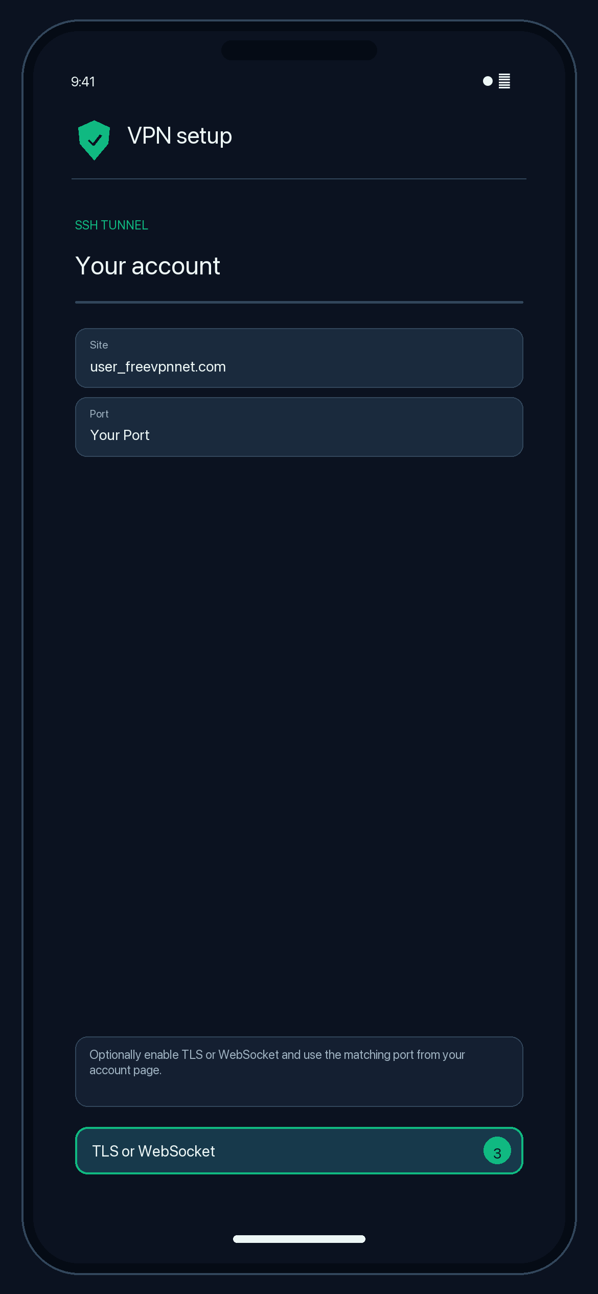 Illustration of step 3: Optionally enable TLS or WebSocket and use the matching port from your configuration page.